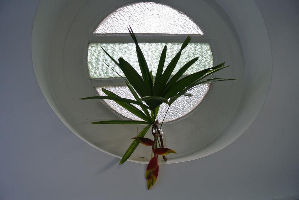 "27" Spathodea- Oasis In The City Colombo Room photo